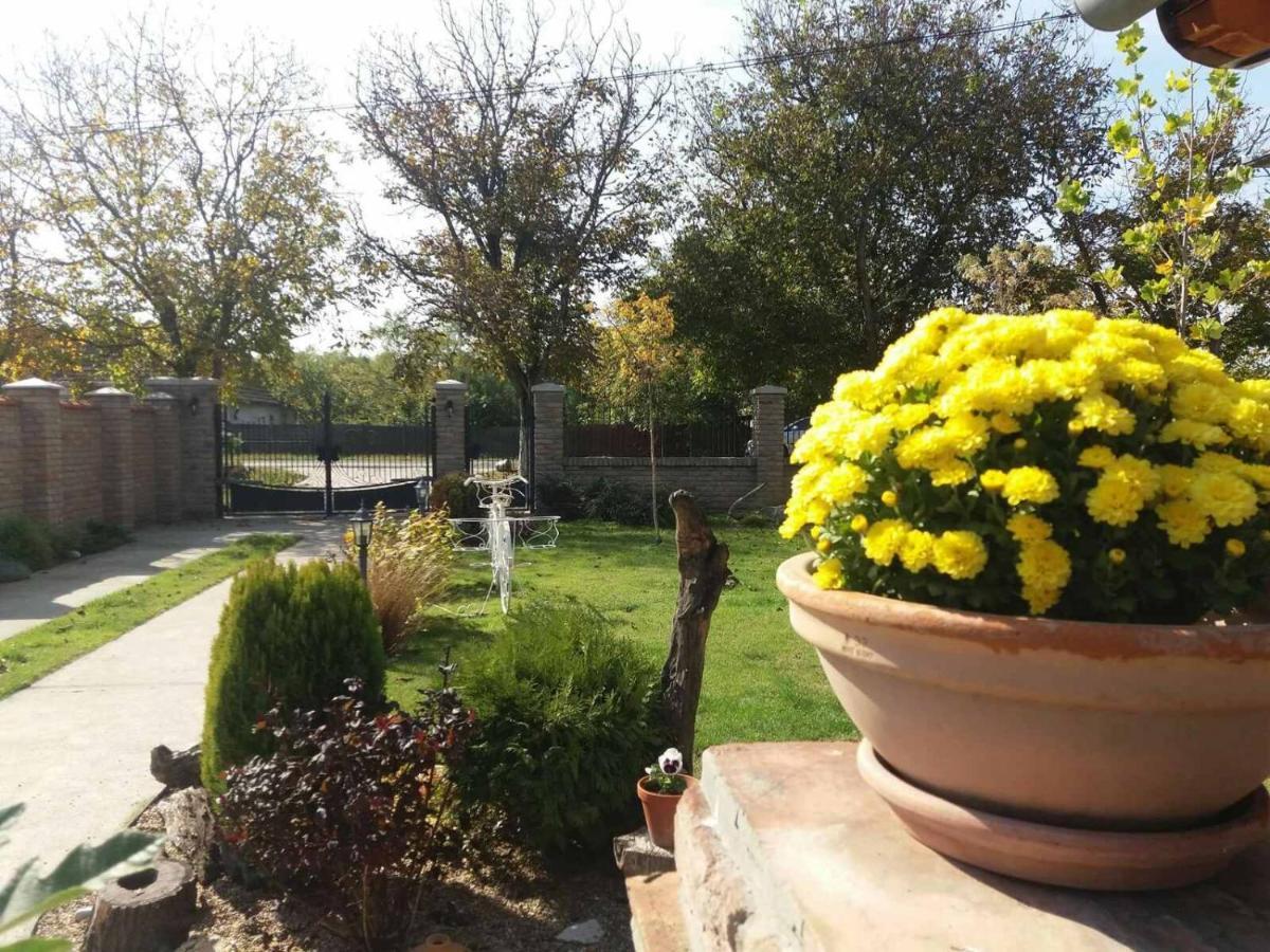 Rita Apartman & Studio Zrenjanin Exteriör bild