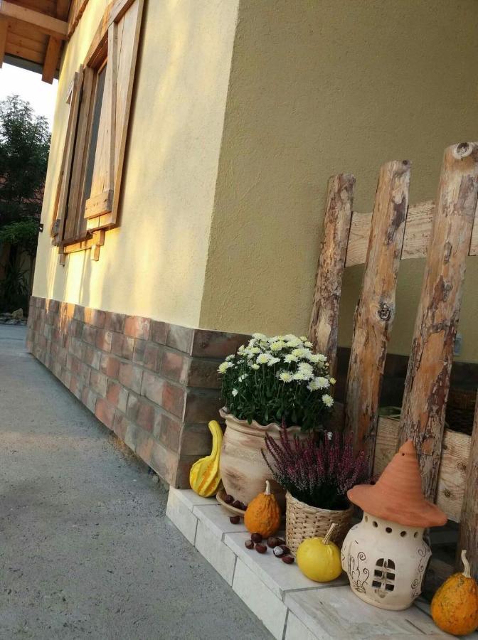 Rita Apartman & Studio Zrenjanin Exteriör bild