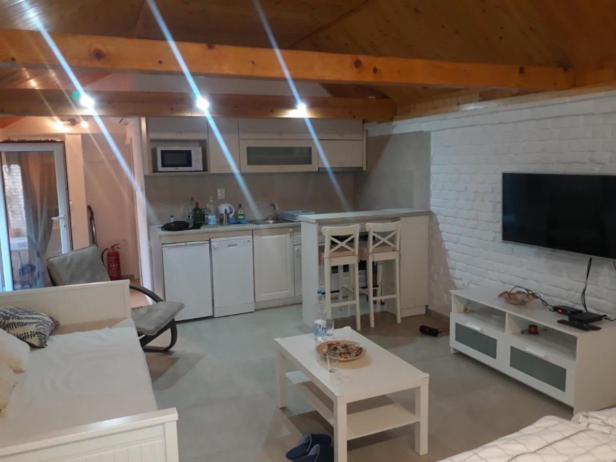 Rita Apartman & Studio Zrenjanin Exteriör bild
