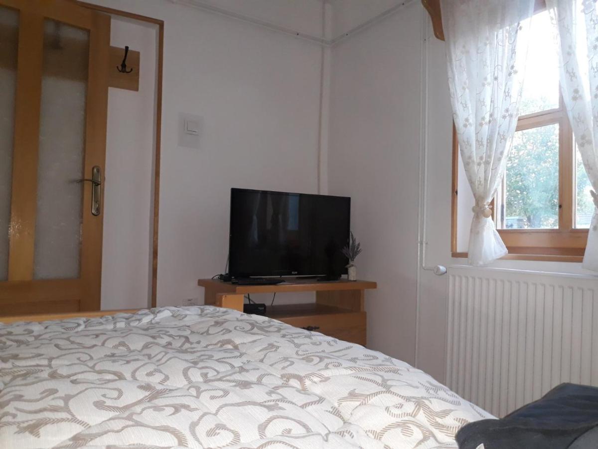 Rita Apartman & Studio Zrenjanin Exteriör bild