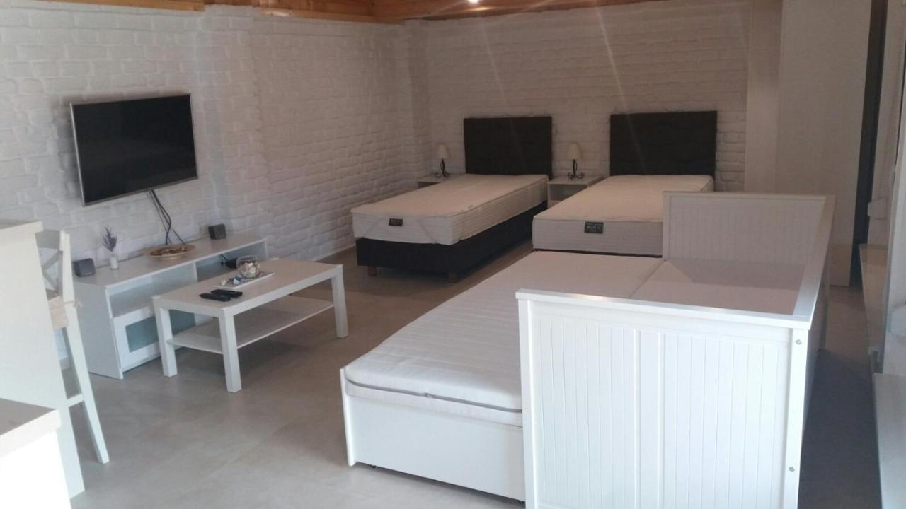 Rita Apartman & Studio Zrenjanin Exteriör bild