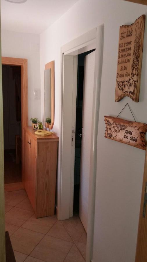 Rita Apartman & Studio Zrenjanin Exteriör bild